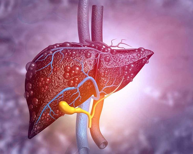 Liver Icon